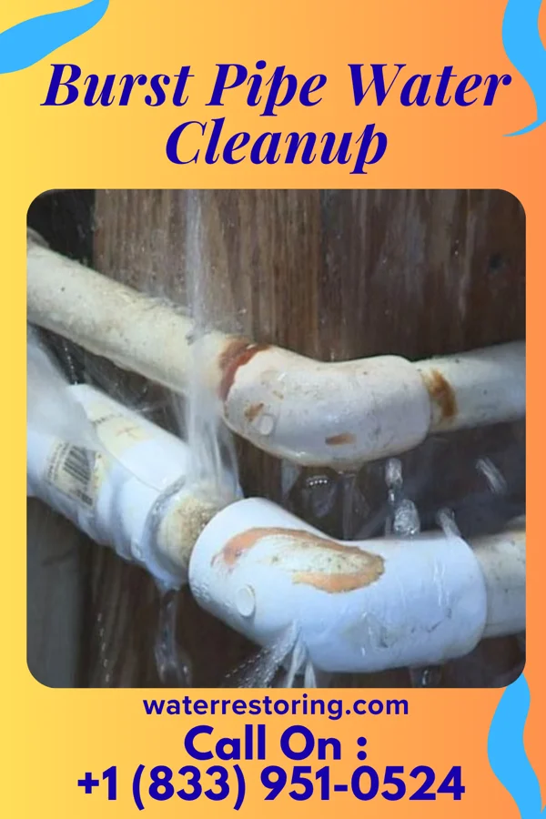 Burst Pipe Water Cleanup in Millheim, PA