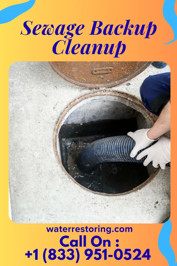 Sewage Backup Cleanup in Millheim, PA