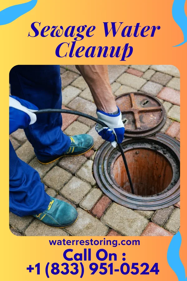 Sewage Water Cleanup in Millheim, PA